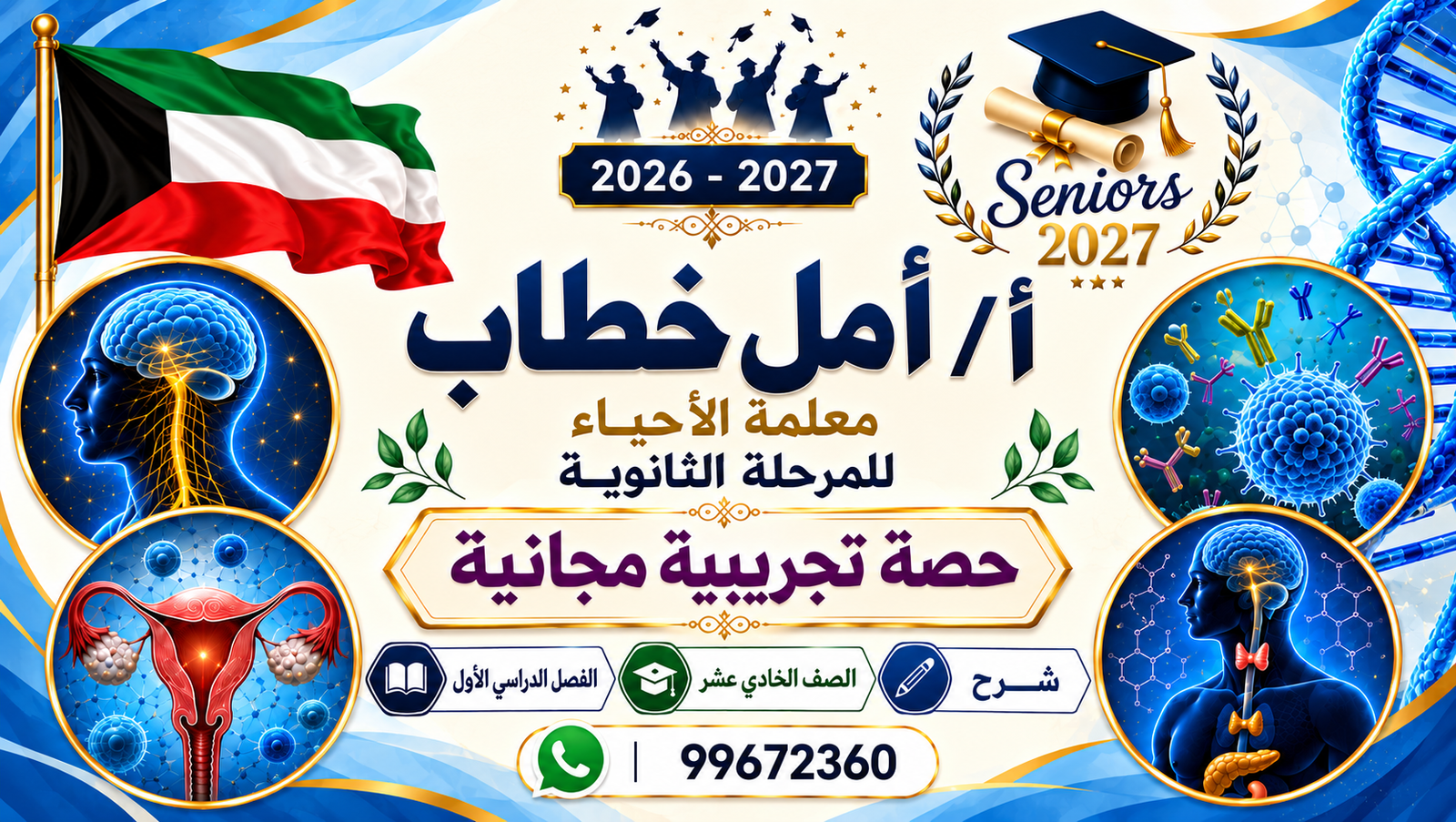 Video Image